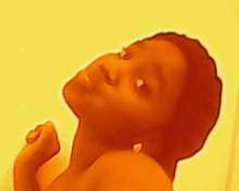 love to dance, smile and i hate fake people