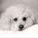 Jonathan Pickens - @delcodogwalker - Twitter