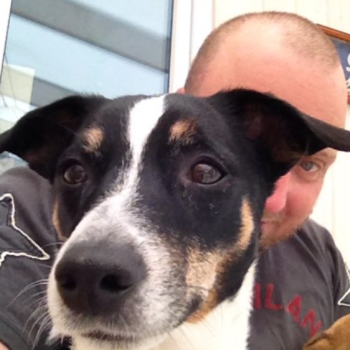 jeppan74's profile picture. 