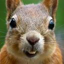 Bill Blaze - @rickopdx - Twitter