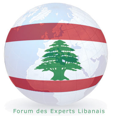 Promouvoir l'image du Libanais en mettant en avance ses compétences professionnelles