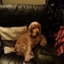 Matt Keating - @MattieK59 - Twitter