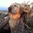 RCochennet's profile image