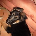 metz patrick - @MetzPatrick - Twitter