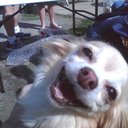 Joseph  Bob Charles - @JoeCharles21 - Twitter