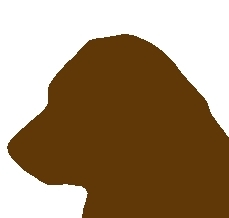 Mobile Hundeschule Petra Huhn
Ihre Hundeschule im Rhein-Main-Gebiet und Taunus