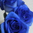shizu_1120's profile image