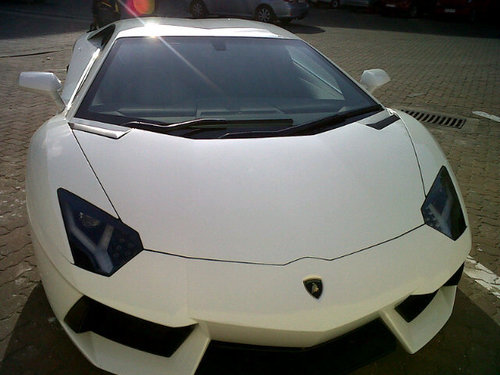 lucaszondi's profile picture. Greatest Of All Time on my own right