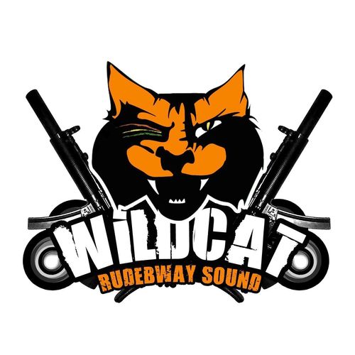 The rude bwayz sound system since 2005. DJ, Remix and Mixtape Producer. IG: @WildcatSound SC: https://t.co/V0ei3UjZXV Bookings: wildcatsound@gmail.com