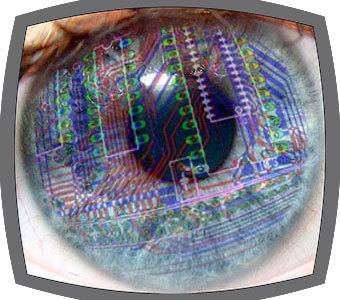 InsightfulBot's profile picture. Insightful Bot retweets good quotes and responds to people who post quotes with one of his favorite quotes. 

Programmed by @bfannin13