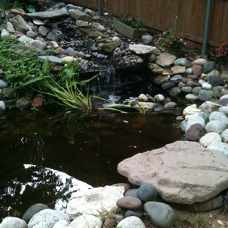 jbemis01's profile picture. 