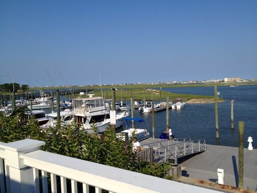 timatkinson2's profile picture. 