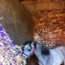 luke hester - @lukehester98 - Twitter