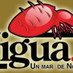 La Nigua (@laniguanoticias) Twitter profile photo