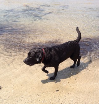 GordonOrmond's profile picture. 