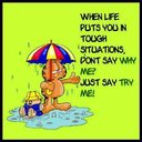 Ashley Whaley - @lilhamster44 - Twitter