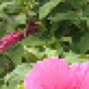 Amanda Renick - @amandarenick626 - Twitter