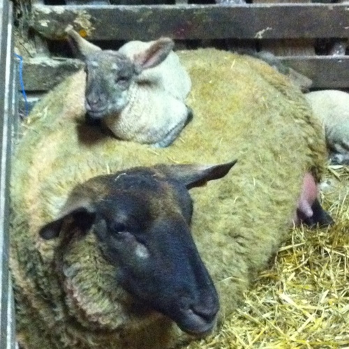 richie062's profile picture. 