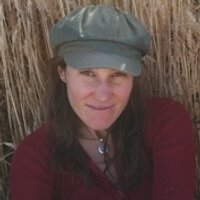 Stephanie Boyd (@deviloperation) 's Twitter Profile