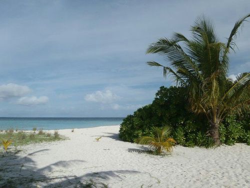 JulienCharles14's profile picture. Bien que murissant, reste bienveillant et vigilant vivement