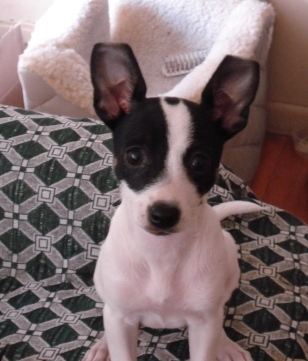 marciamaryanne's profile picture. Still retired, no pets for now.