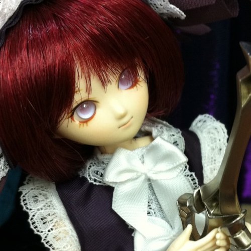 hiina_c's profile picture. 白くてむにっとした雑草だったかもしれない人形者。恋鞠堂報道部。主に1/6、最小ねんぷち最大幼っこ総勢16人の小さな大家族。入れ目ドール写真をあげるので苦手な方はご注意願います。マイブーム:FGOとうらぶsideM