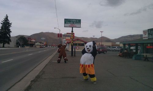 mikeepps11's profile picture. A fun place to shop! Retro toys, vintage items, custom furniture and so much more!