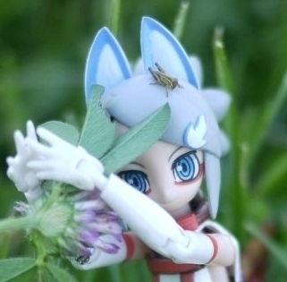 A Canadian blogging in Ottawa about Anime. Currently interested in VRchat, Rising World, Azur Lane, Busou Shinki's, Frame Arms Girl, & photography. VR games. 🇨🇦