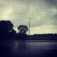 RoadKill Records (@roadkillrecords) 's Twitter Profile