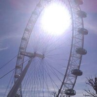 Laura Maule (@lauram1969) 's Twitter Profile