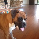 Silvia Angel - @silviaeangel123 - Twitter