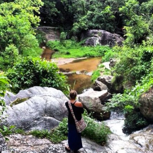 kelwhel's profile picture. anything gluten free