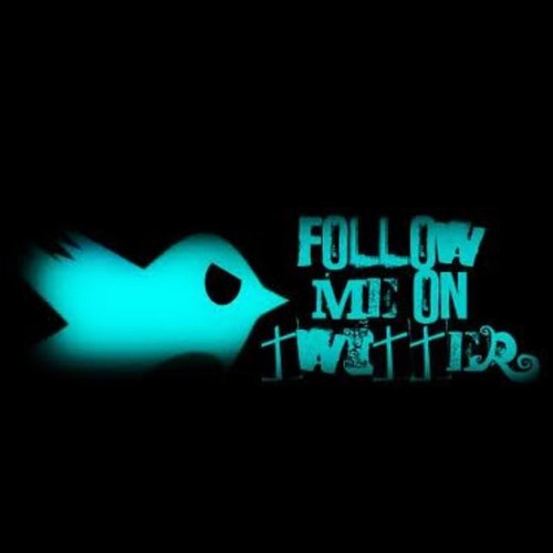 tennestegard's profile picture. sup homies