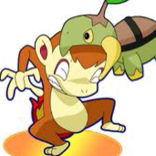 FlamingChimchar's profile picture. I am a Chimchar!I like to play!(RP)