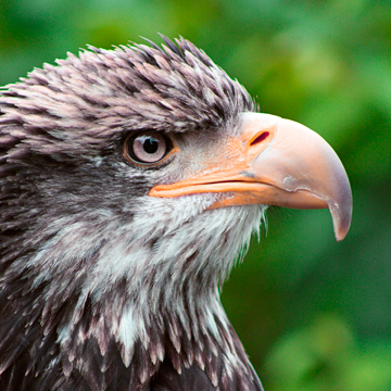 boldfrontiers's profile picture. Photographer & Crypto Enthusiast