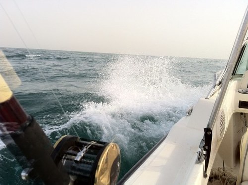 Maltuwari's profile picture. 