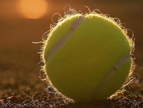 Tennisprobz95's profile picture. All tennis... Tennis problems, tennis facts, tennis wonka, tennis quotes and tennis greater than's! #tennisproblems #tennis #tennisfacts #teamfollowback