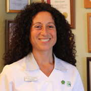THE OLIVE BRANCH PLYMOUTH Complementary Therapies For Women's Wellbeing'