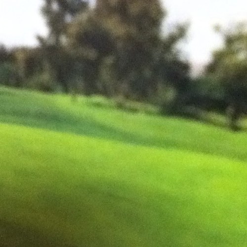 hajj1786's profile picture. 12390