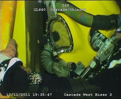 alprider73's profile picture. Saturation Diver