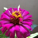 bee ling - @LimJeslyn - Twitter