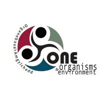 ONE group (@onegroup_cardif) 's Twitter Profile