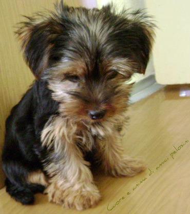 Mautos83's profile picture. 