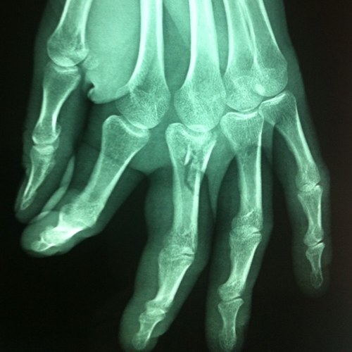 stanlefaou's profile picture. 