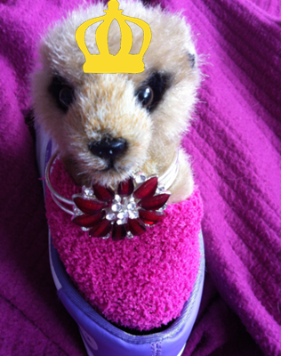 I am the Royal Meerkat, Steve. Been supporting Britain since 92.