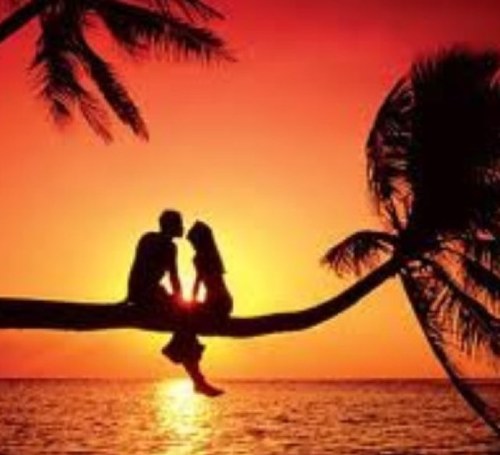 TeensguideYOLO's profile picture. YOLO you only live once. Live. Love. Laugh. take risks