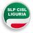 slpcislliguria's profile image