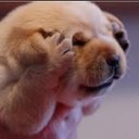 Jack Beggs - @BeGsY99 - Twitter