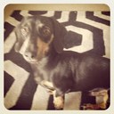 frank bain - @bain_frank - Twitter