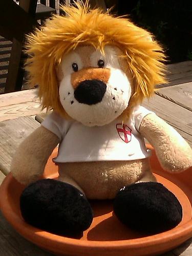 LennytheLion10's profile picture. I'm Lenny the Lion & I'm England through & through!